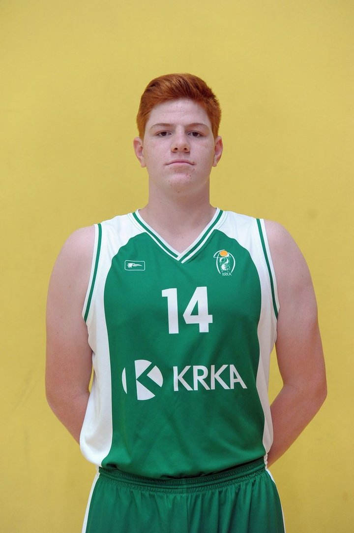 Martin Drenik