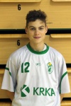 Tin Hvalec