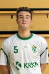 Rok Vidrih