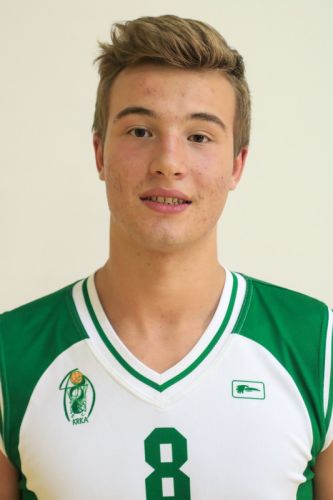Rok Vidrih