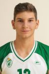 Jaka Aringer
